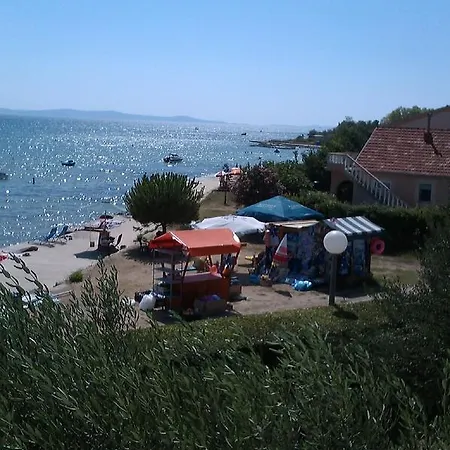 Summer Dream